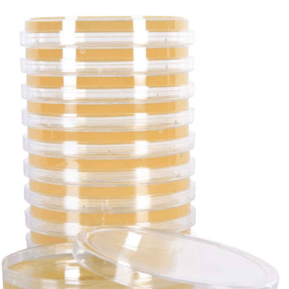 Agar Mcconkey Agar Mcconkey