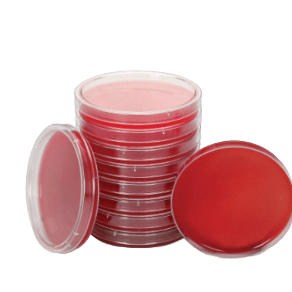 Agar Sangre Cordero T.S.A Agar Sangre Cordero T.S.A