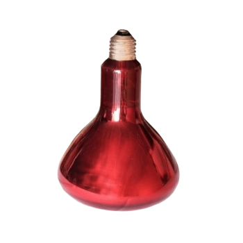 Bombilla Infrarrojos 150W Bombilla Infrarrojos 150W