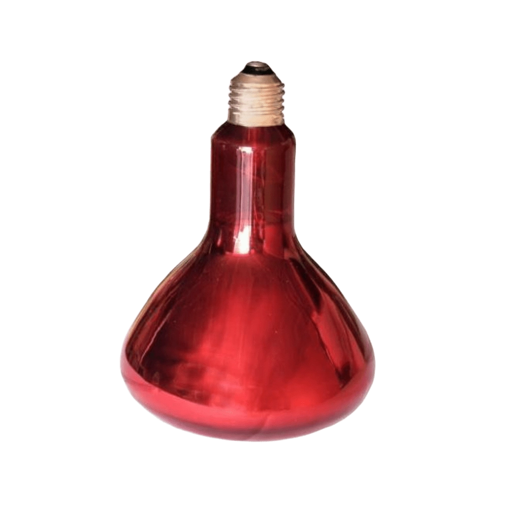 Bombilla Infrarrojos 150W Bombilla Infrarrojos 150W