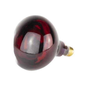 Bombilla Infrarrojos 275W Bombilla Infrarrojos 275W
