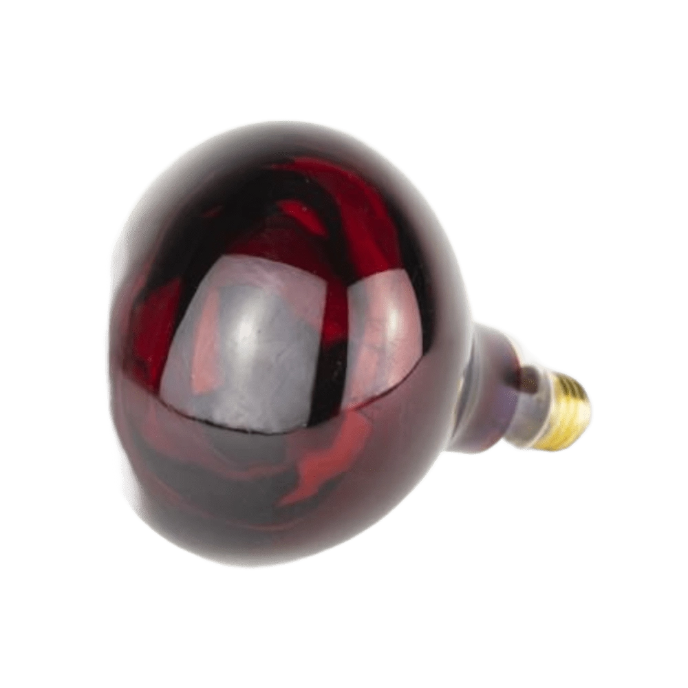 Bombilla Infrarrojos 275W Bombilla Infrarrojos 275W