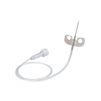 Palomilla Extracción Braun Palomilla Extracción Braun