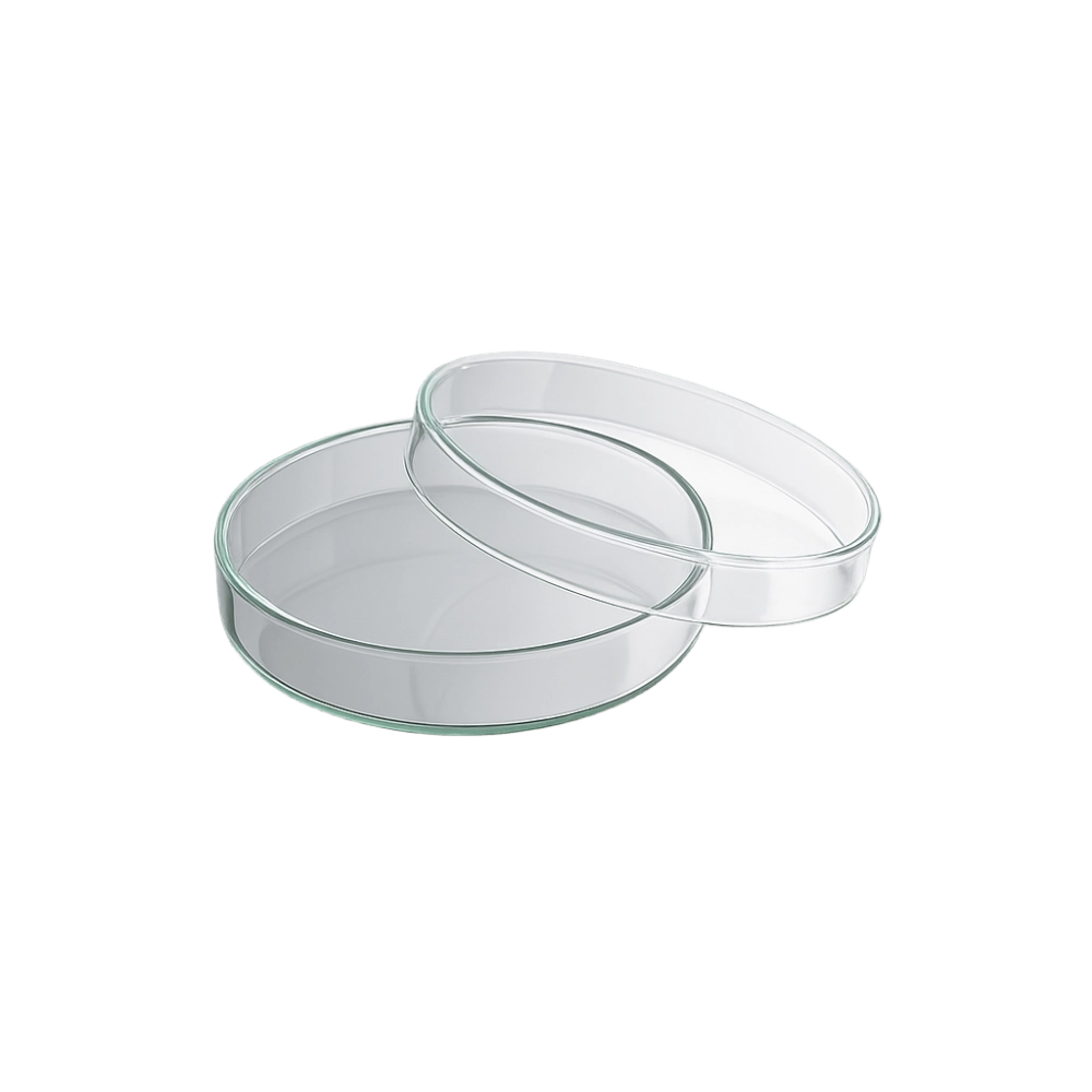 Placa Petri Normal Placa Petri Normal