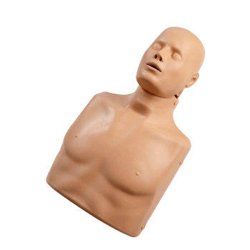 Torso para formación RCP Advance adulto Torso para formación RCP Advance adulto